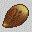 Seed